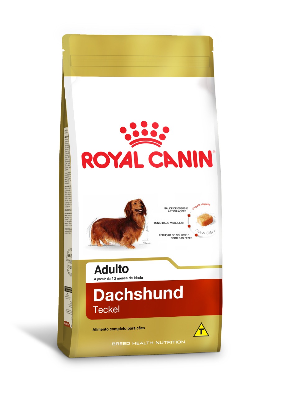 Royal Canin Dachshund Adultos  